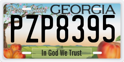 GA license plate PZP8395