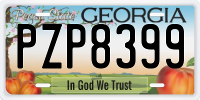 GA license plate PZP8399