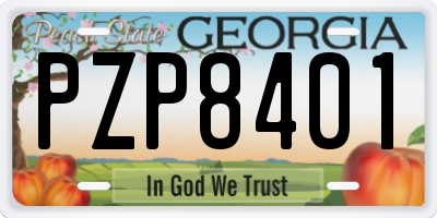 GA license plate PZP8401