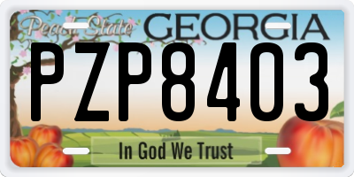 GA license plate PZP8403