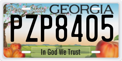 GA license plate PZP8405