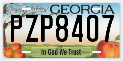 GA license plate PZP8407
