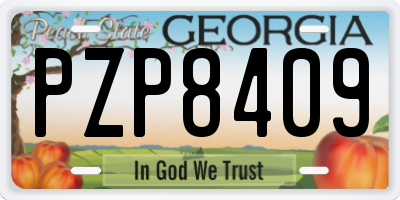 GA license plate PZP8409