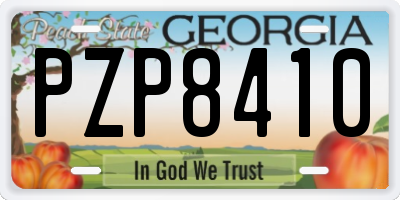 GA license plate PZP8410