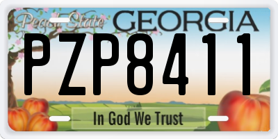 GA license plate PZP8411