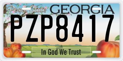 GA license plate PZP8417
