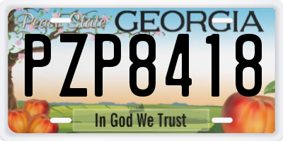 GA license plate PZP8418