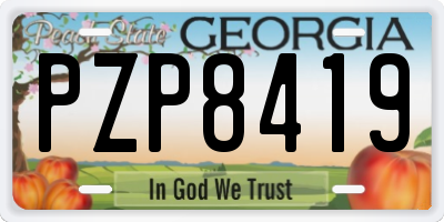 GA license plate PZP8419