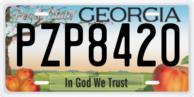 GA license plate PZP8420