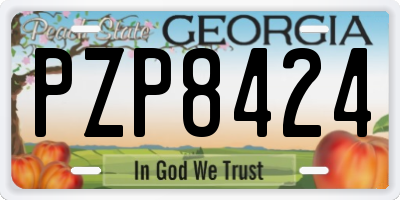 GA license plate PZP8424