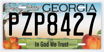 GA license plate PZP8427