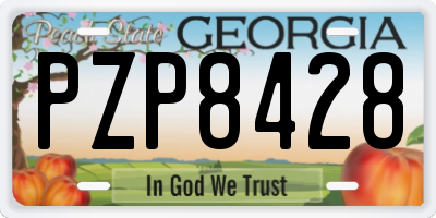 GA license plate PZP8428