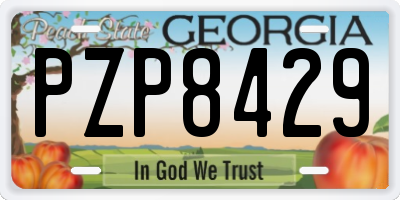GA license plate PZP8429