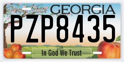 GA license plate PZP8435
