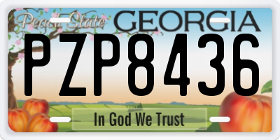 GA license plate PZP8436