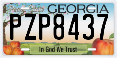 GA license plate PZP8437