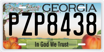 GA license plate PZP8438