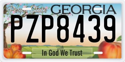 GA license plate PZP8439