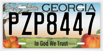 GA license plate PZP8447