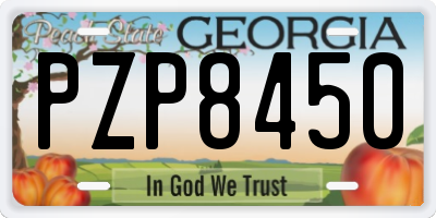 GA license plate PZP8450