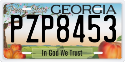 GA license plate PZP8453