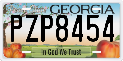 GA license plate PZP8454