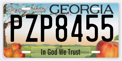 GA license plate PZP8455