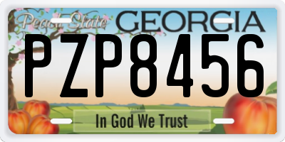 GA license plate PZP8456