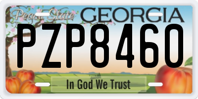 GA license plate PZP8460