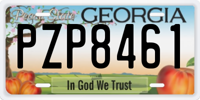 GA license plate PZP8461