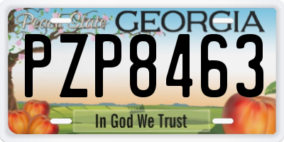 GA license plate PZP8463