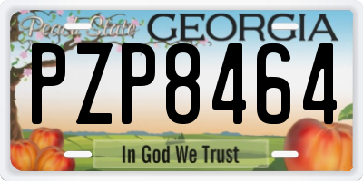 GA license plate PZP8464