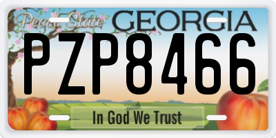 GA license plate PZP8466