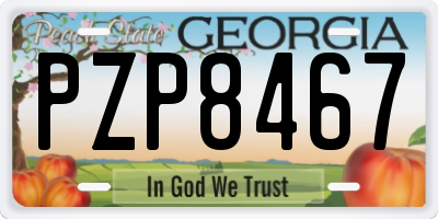 GA license plate PZP8467
