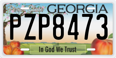 GA license plate PZP8473