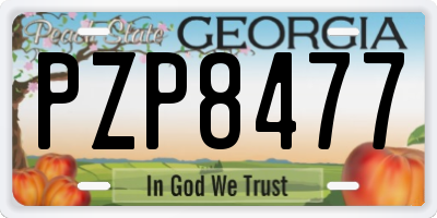 GA license plate PZP8477