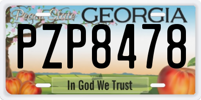GA license plate PZP8478