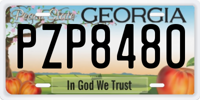 GA license plate PZP8480