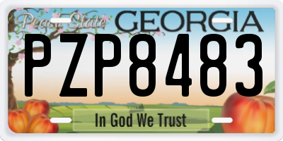 GA license plate PZP8483