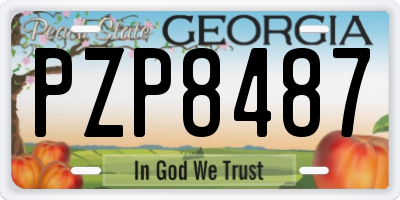 GA license plate PZP8487