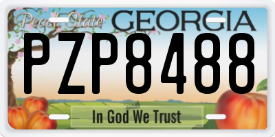 GA license plate PZP8488