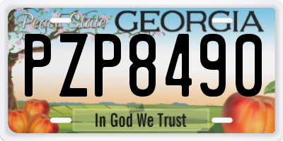 GA license plate PZP8490