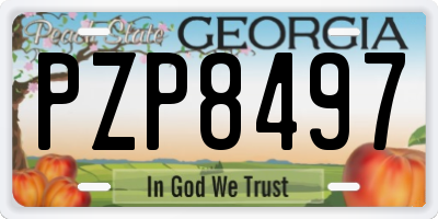 GA license plate PZP8497