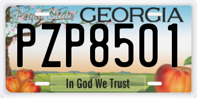 GA license plate PZP8501