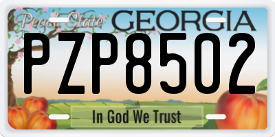 GA license plate PZP8502