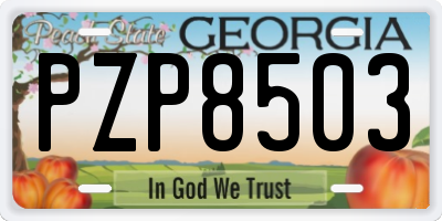 GA license plate PZP8503
