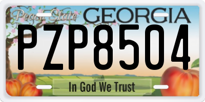 GA license plate PZP8504