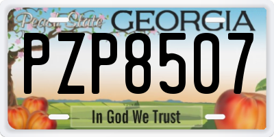 GA license plate PZP8507