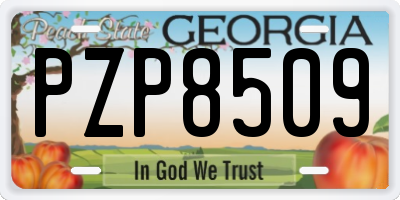 GA license plate PZP8509