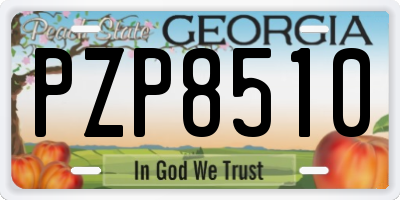 GA license plate PZP8510
